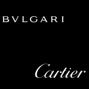 Clients of Promodel Service