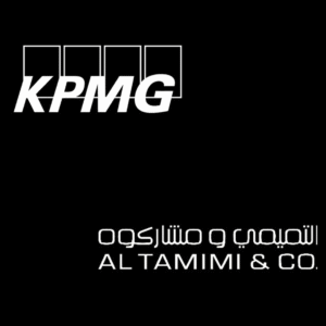 Clients of Promodel Service