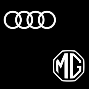 Clients of Promodel Service