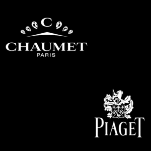 Clients of Promodel Service